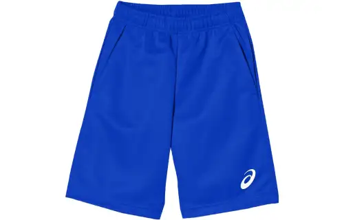Asics FW23 Casual Shorts Men's Blue