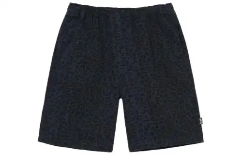 Stussy Casual Shorts Men's Blue Moderate