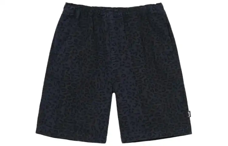 Stussy Casual Shorts Men's Blue Moderate