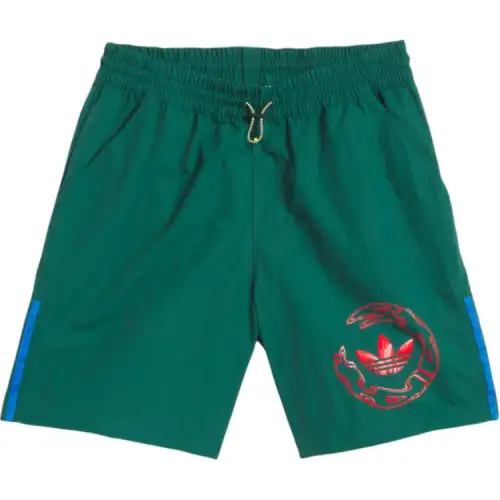 Adidas Originals SKATEBOARDING GRAPHIC Casual Shorts Unisex Green
