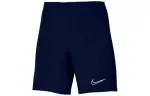 Nike Casual Shorts Men's Blue Moderate