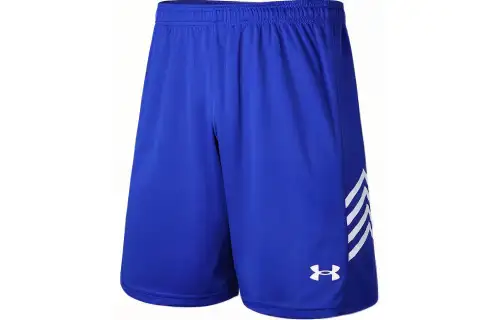 Under Armour Shorts Unisex Royal Blue