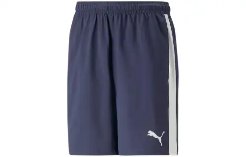 PUMA Casual Shorts Men's Blue Moderate