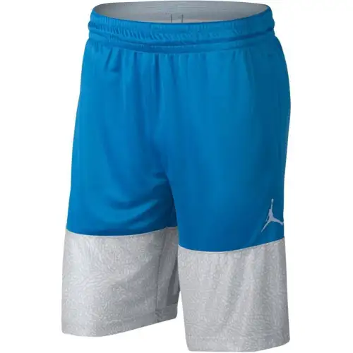 Jordan Casual Shorts Men's Blue Gray