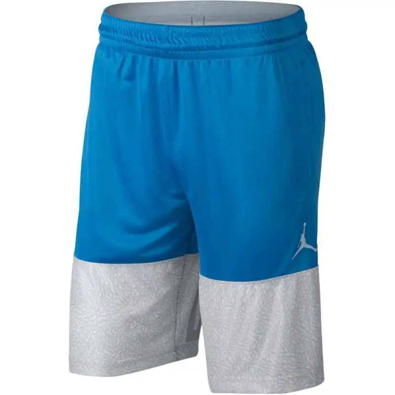 Jordan Casual Shorts Men's Blue Gray