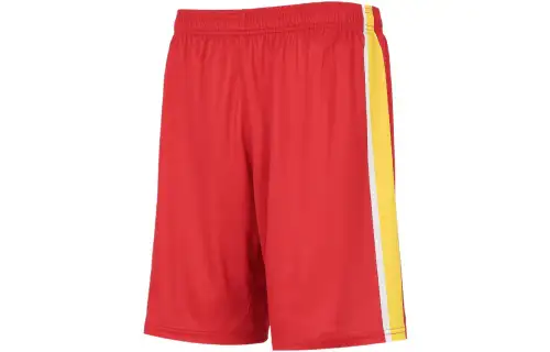 Under Armour Sports Shorts Men's Red Moderate