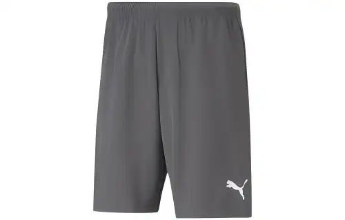 PUMA Casual Shorts Men's Silver