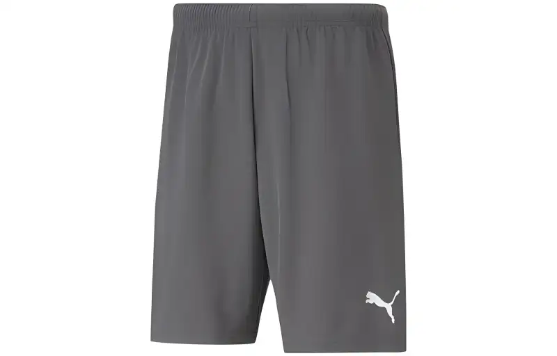 PUMA Casual Shorts Men's Silver