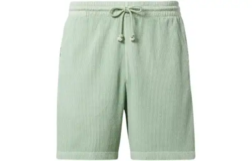 Reebok CL ND WAFFLE SHORTS Casual Shorts Men's Light Sage Green