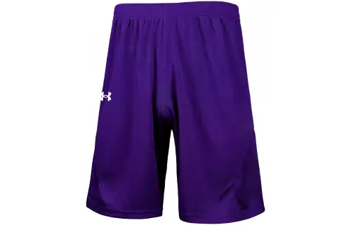 Under Armour Shorts Men's Purple