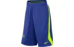 Nike Casual Shorts Men's Blue Moderate