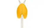 LOEWE Tank Tops Women's Bright Orange Other