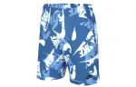 Nike Sports Shorts Men's Blue Moderate