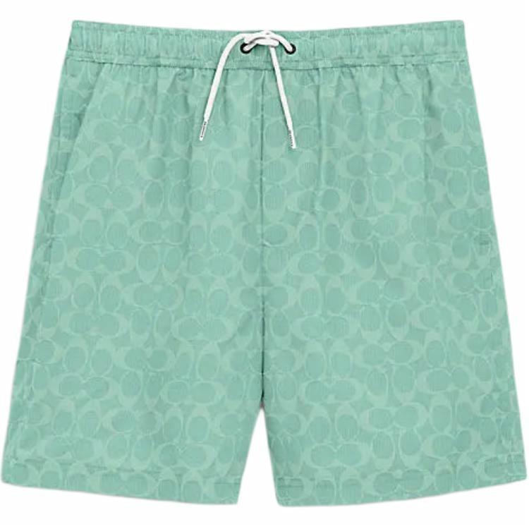Мужские сандалии COACH (зеленые)