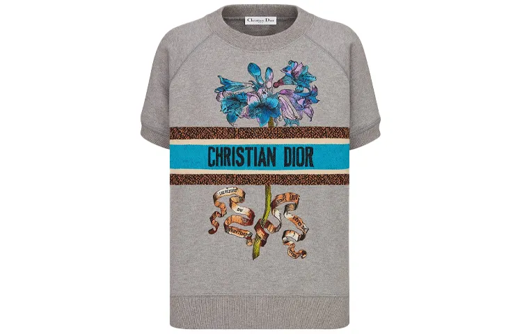 DIOR Quarterly New Products Raglan Sleeve T Shirt Women's Gray