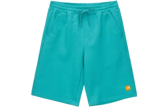 THE NORTH FACE Sports Shorts Men's Turquoise Moderate