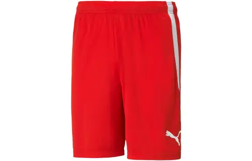 PUMA TeamLIGA Men's Football Shorts Sports Shorts Men's Mountain Lion Red