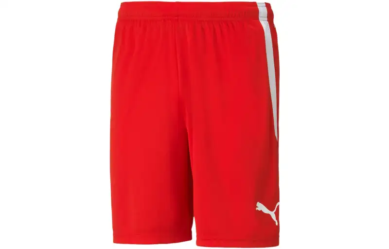 PUMA TeamLIGA Men's Football Shorts Sports Shorts Men's Mountain Lion Red