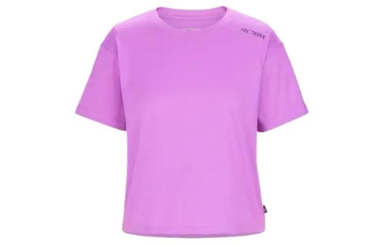 Женская футболка Arcteryx Logo (серая)