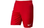 Nike Sports Shorts Men's Red Moderate