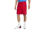 Nike Club Men's Knit Shorts