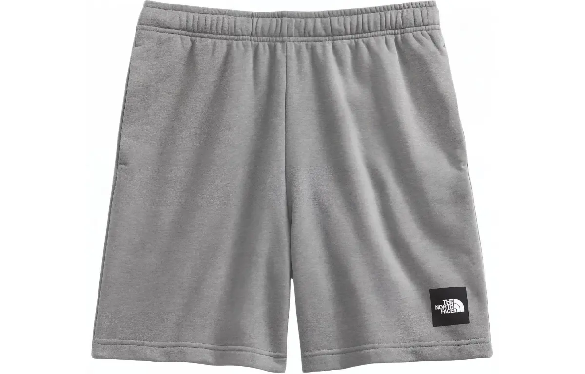 THE NORTH FACE Men's Never Stop Shorts Casual Shorts Men's Gray