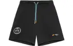 Li Ning Professional Basketball Collection Casual Shorts Men's