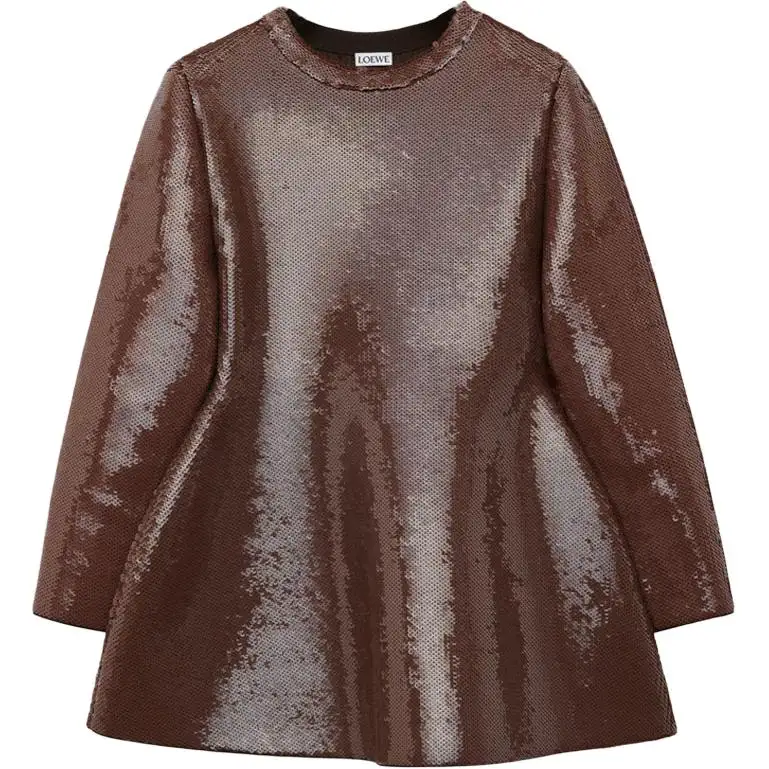 LOEWE SS25 Regular T Shirt Women's Brown