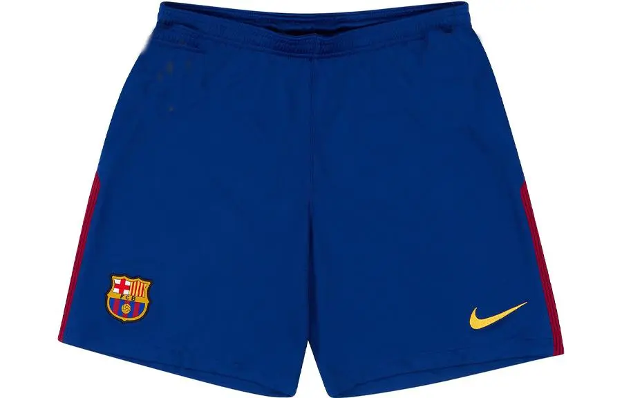 Nike Sports Shorts Men's Blue Moderate