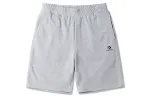 Converse Go To Standard Fit 9' Fleece Shorts