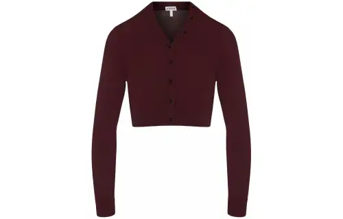 LOEWE Crop Tops Women's Dark Red Moderate