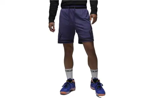 Jordan Sports Shorts Men's Purple Moderate