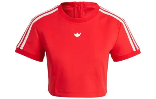 adidas originals Blue Version Logo Patch Cropped T-Shirt