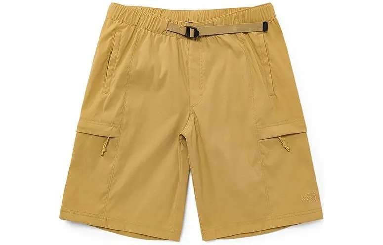 THE NORTH FACE Sports Shorts Men's Brown Moderate