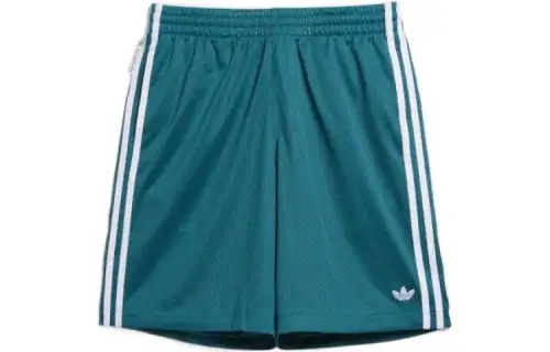 adidas Skateboarding Mesh Shorts Gender Neutral Turquoise