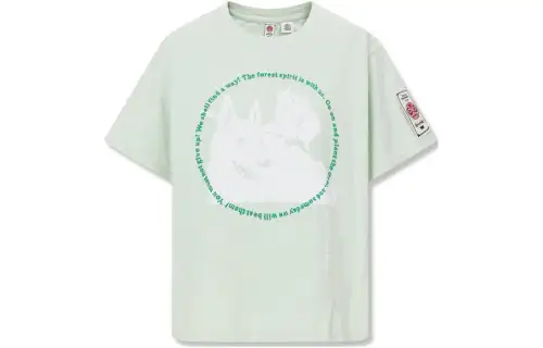 Levis T Shirt Women's Light Green