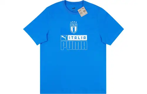 PUMA Soccer Jerseys Men's Blue Moderate Straight Fit