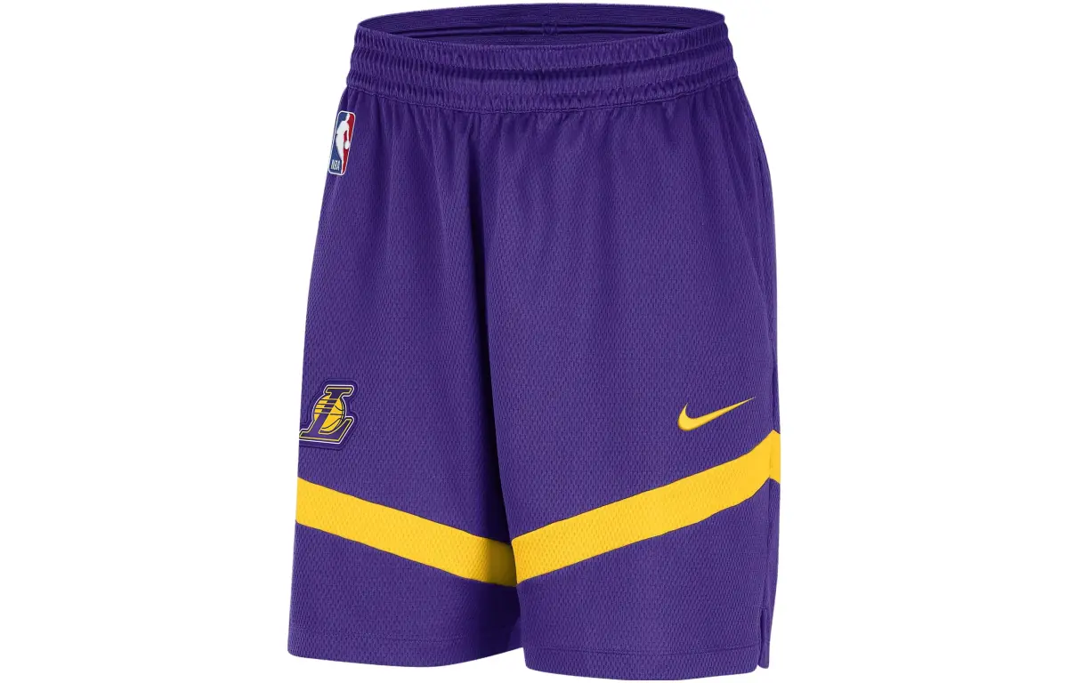 Nike Basketball Shorts Men's Dark Purple