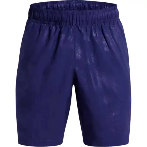 Under Armour Sports Shorts Men's Purple Moderate