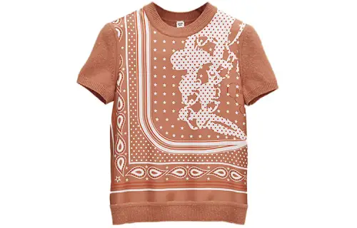 HERMES T Shirts Women's Brown Crew Neck Moderate