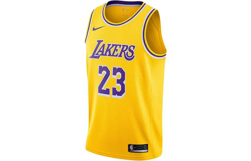 Nike X Nba Kids Los Angeles Lakers Lebron James Icon Edition Swingman Jersey