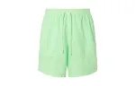 Nike Dri Fit Casual Shorts Men's Green