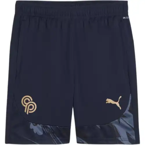 PUMA Sports Shorts Men's Marine Blue