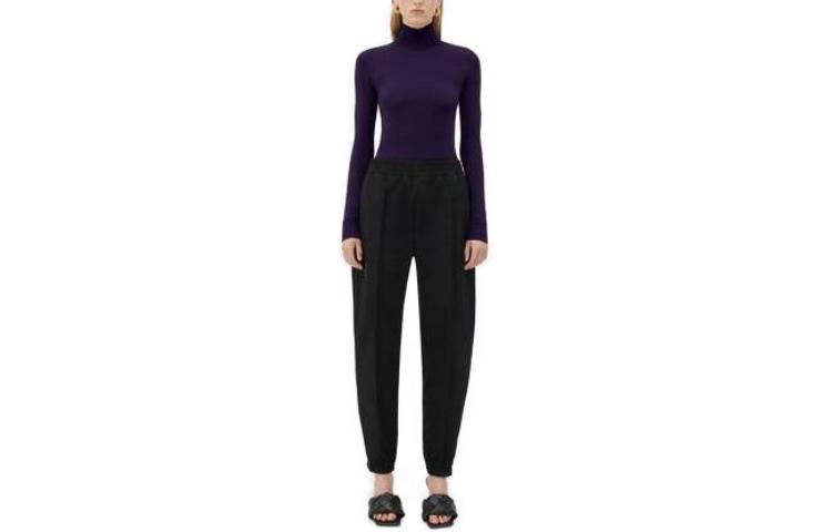 Bottega Veneta Sweaters Women's Purple Turtleneck Moderate Other