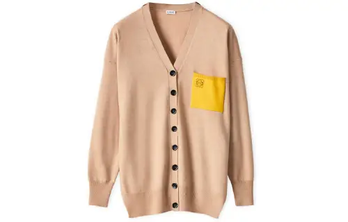 LOEWE FW21 Sweater Women's Camel