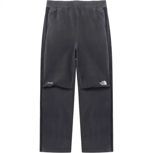 THE NORTH FACE Polartec SS24 Banff Fleece Pants Fleece Pants Unisex Gray