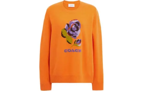COACH Sweaters Women's Orange Crew Neck Moderate Other