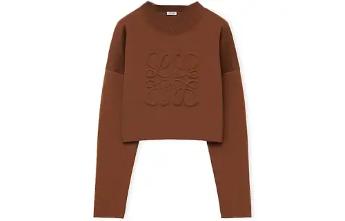 LOEWE Sweaters Women's Crew Neck Moderate Other