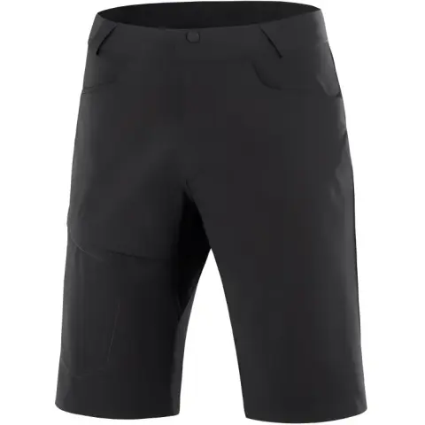 Salomon Wayfarer cargo shorts