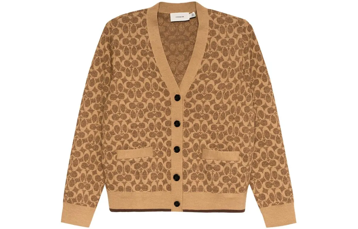 COACH Sweaters Women's Brown V-neck Moderate